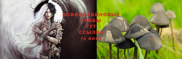 гашиш Касимов