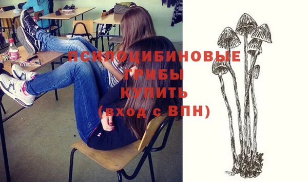гашиш Касимов