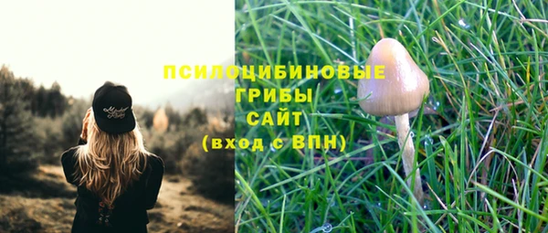 гашиш Касимов