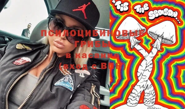 гашиш Касимов