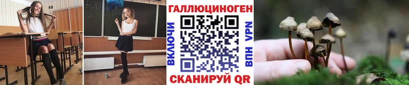 сайты даркнета как зайти omg Красновишерск Галлюциногенные грибы мицелий